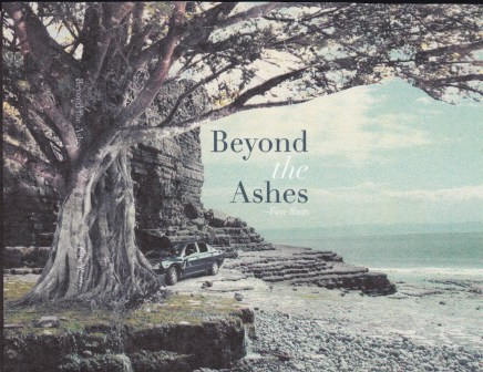 2014 (6) Ashes Book Cover