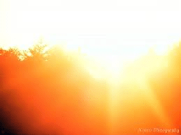 Blazing Light of Divine Love