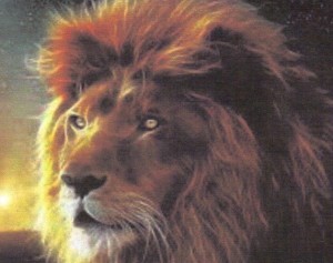 Lion image of Lion of Judah - Copy