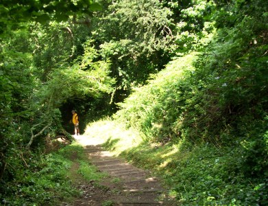 50-david-climbing-copy