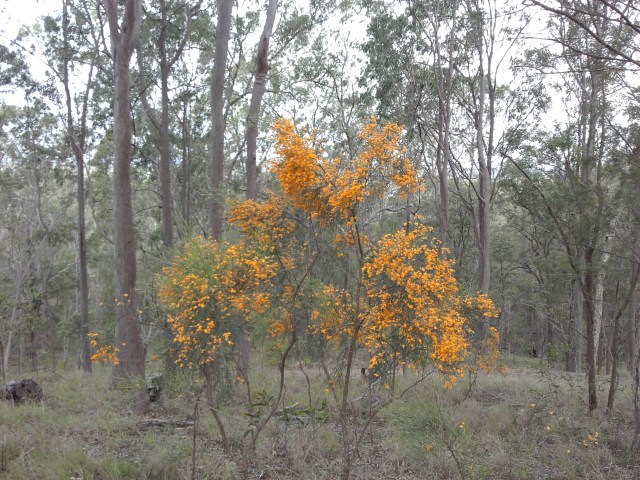 20171112_150535 - Copy