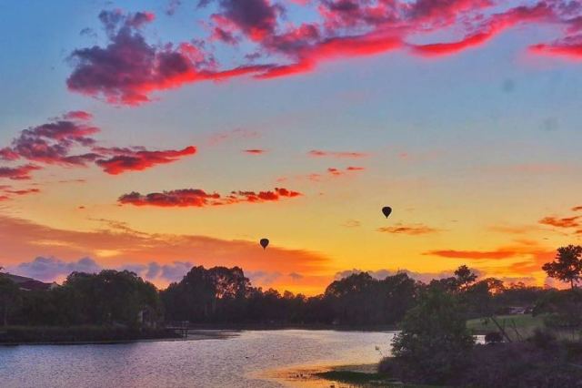 ballooning at sunrise, Bundall Qld.