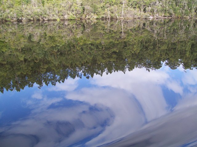 233 Reflections in the Gordon river. - Copy