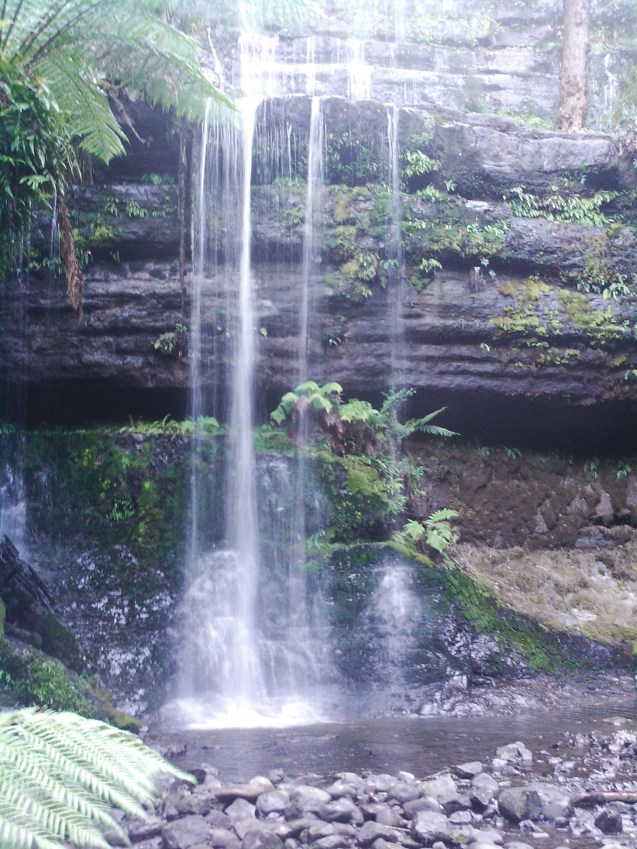 335 Russell Falls, 12 April 2013