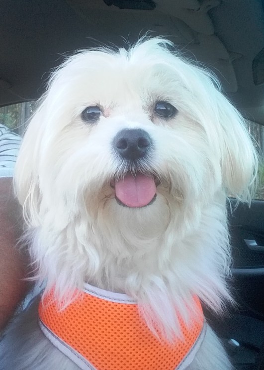 25 Another selfie, 25 Aug 2018