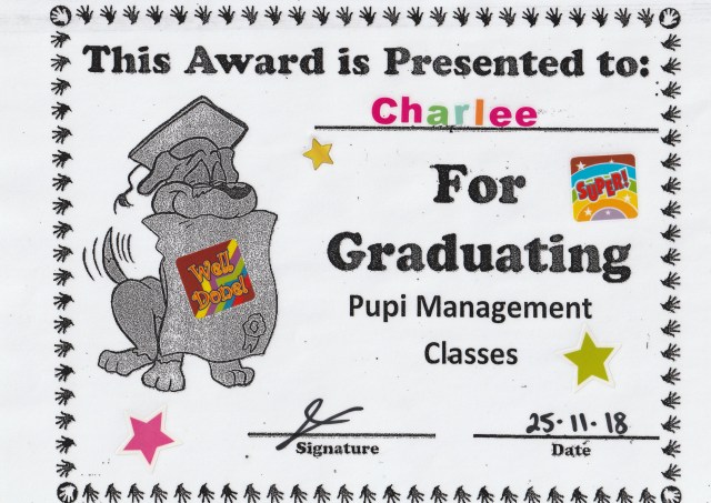 35 Charlee's Management Graduation, 26 Nov 18