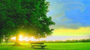 BEAUTIFUL 3 for blog.