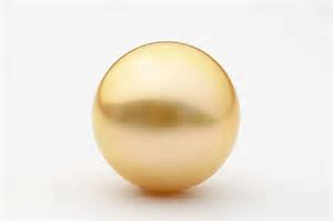 Golden Pearl