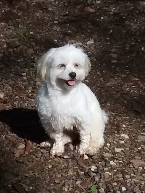 28 Time for my morning walk, 20 May 2019 - Copy