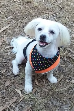 34 After my clip, 6 Oct 2019 - Copy