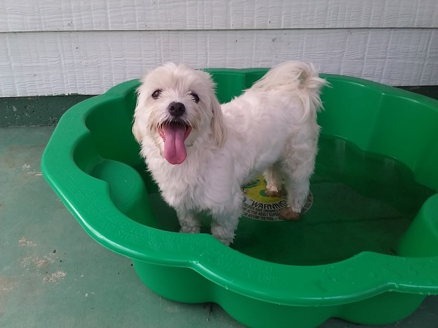 36 Happy 3rd. Birthday, 16 Dec 2019.jpg