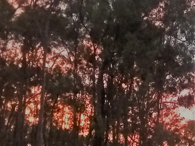 day's end. after a cold day of no sun.